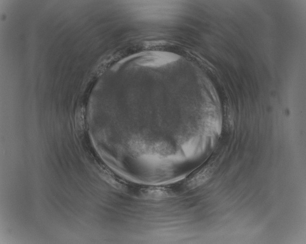 X0000072970475200608211326