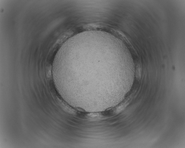 X0000072970477200608211326