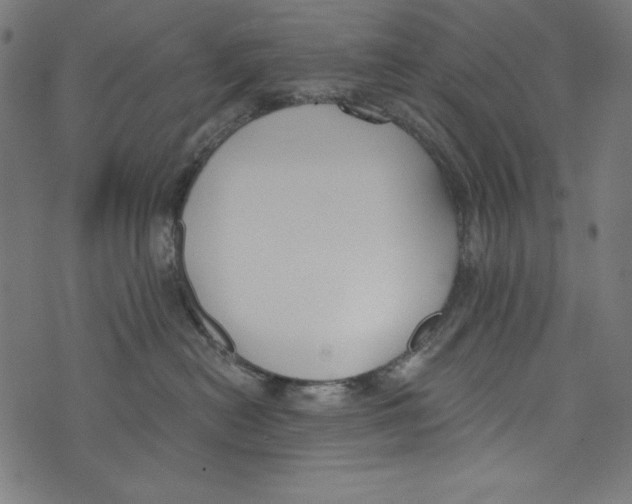 X0000072970478200608211326