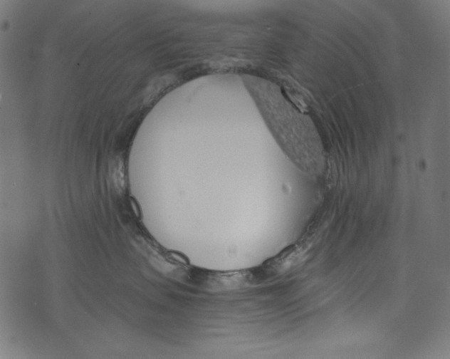 X0000072970479200608211326