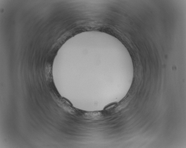 X0000072970480200608211326