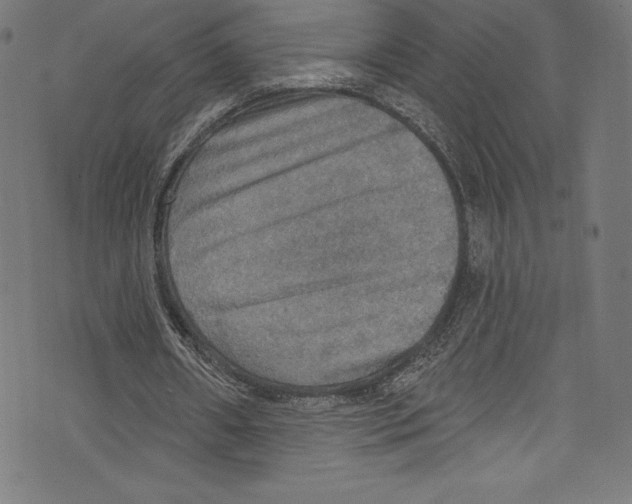 X0000072970482200608211326