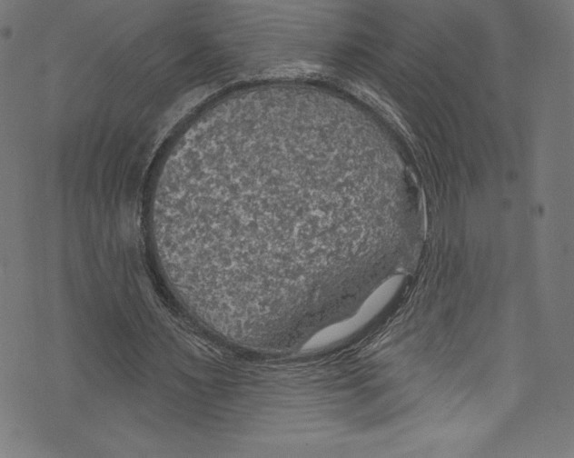 X0000072970483200608211326