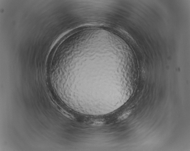 X0000072970484200608211325