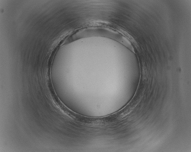 X0000072970485200608211325