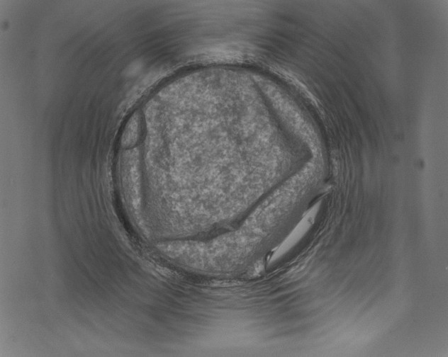 X0000072970487200608211325