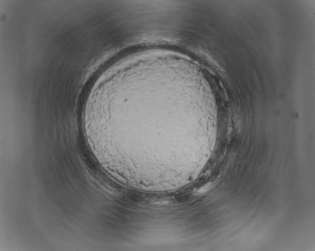 X0000072970488200608211325