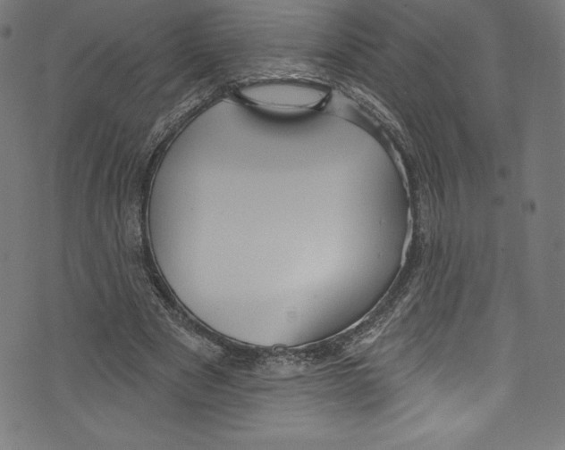 X0000072970489200608211325