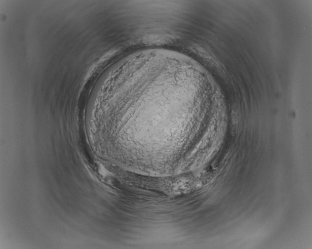 X0000072970492200608211325