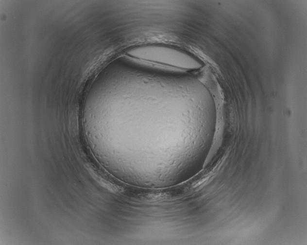 X0000072970493200608211325