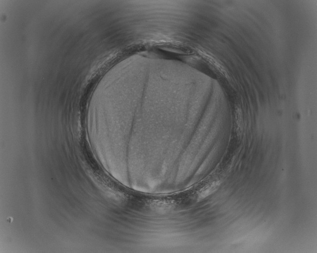 X0000072970494200608211325