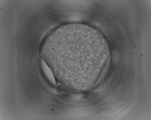 X0000072970495200608211325