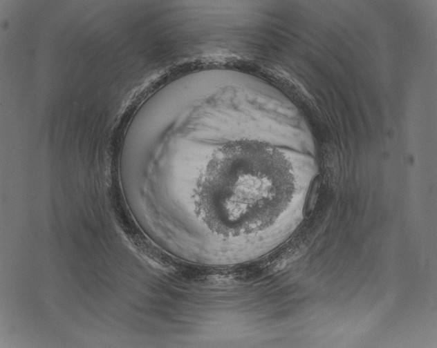 X0000072970496200608211325