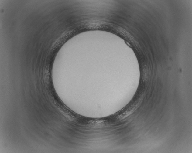 X0000072970497200608211325