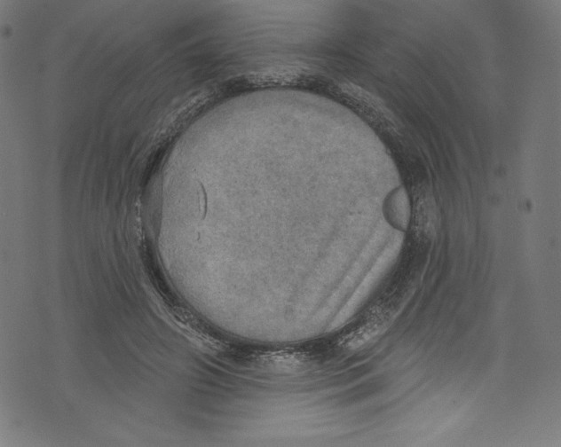 X0000072970498200608211325