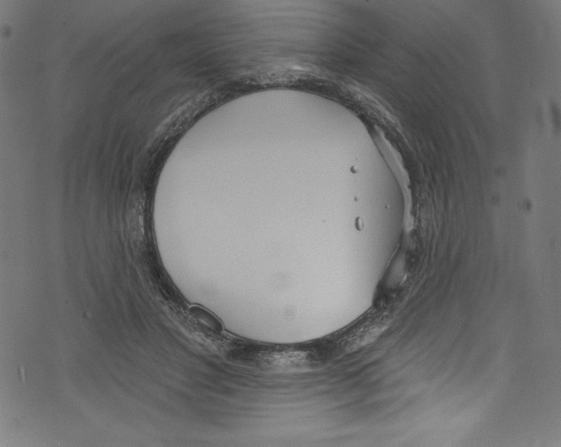 X0000072970501200608211325