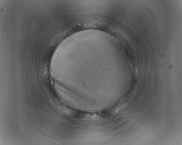 X0000072970502200608211325