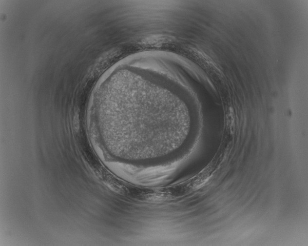 X0000072970504200608211325