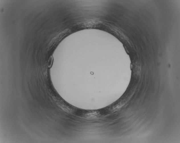 X0000072970505200608211325