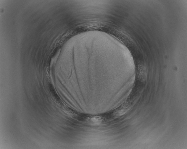 X0000072970506200608211325