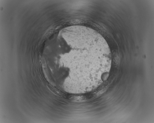 X0000072970507200608211325