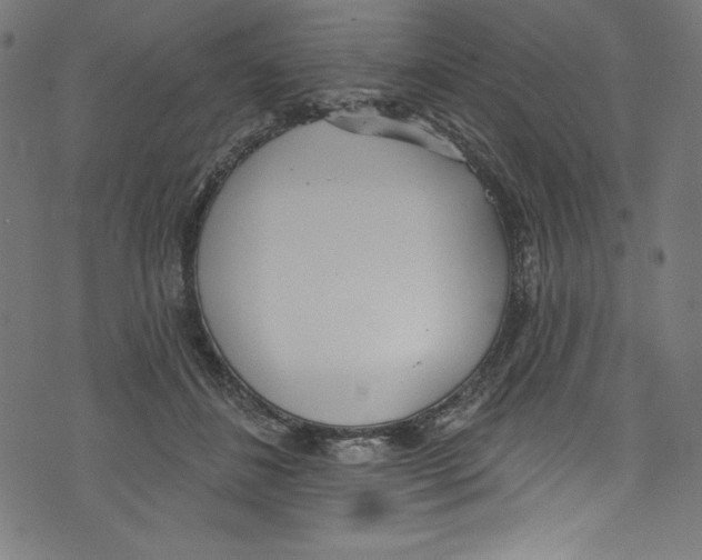 X0000072970508200608211325