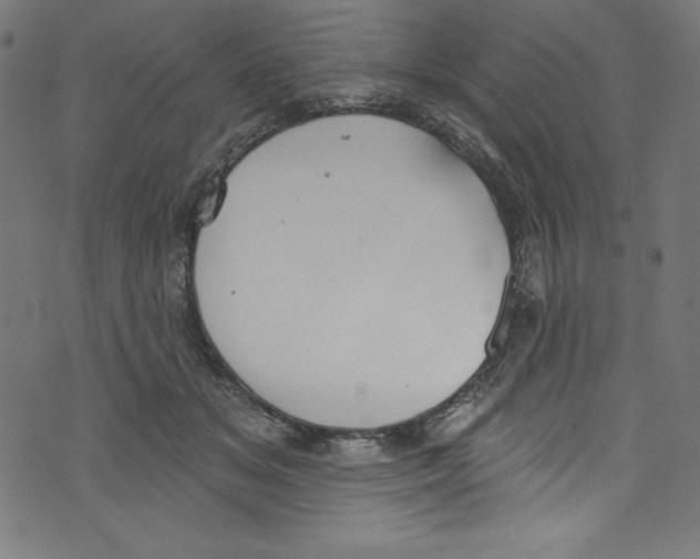 X0000072970509200608211325