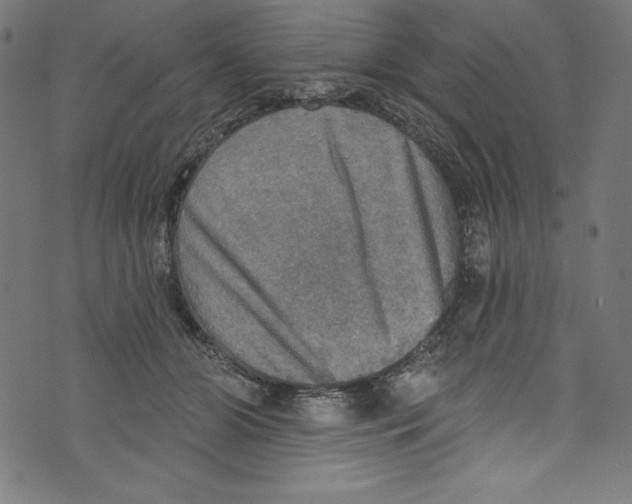 X0000072970510200608211325