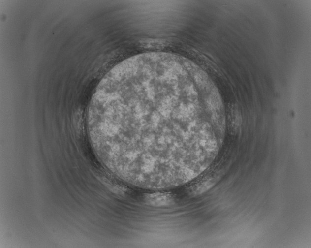 X0000072970511200608211325