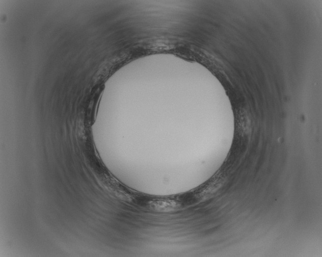 X0000072970512200608211325