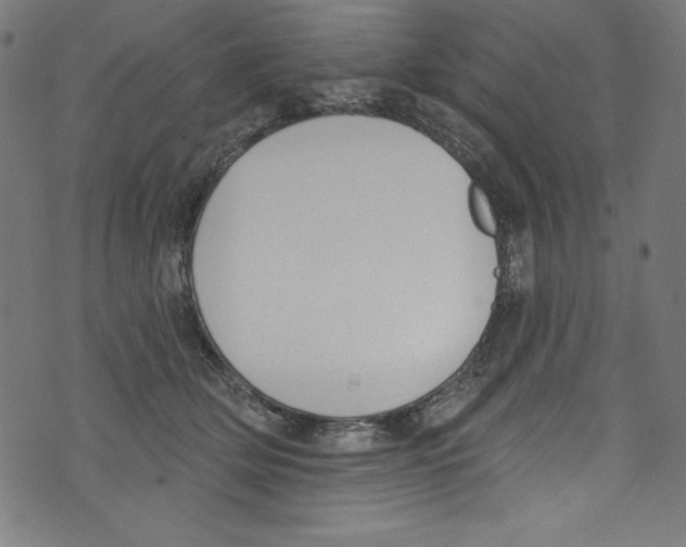 X0000072970514200608211325