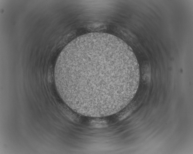 X0000072970515200608211325