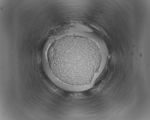 X0000072970517200608211325