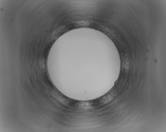 X0000072970518200608211325