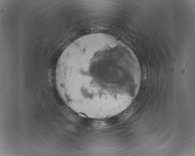 X0000072970519200608211325