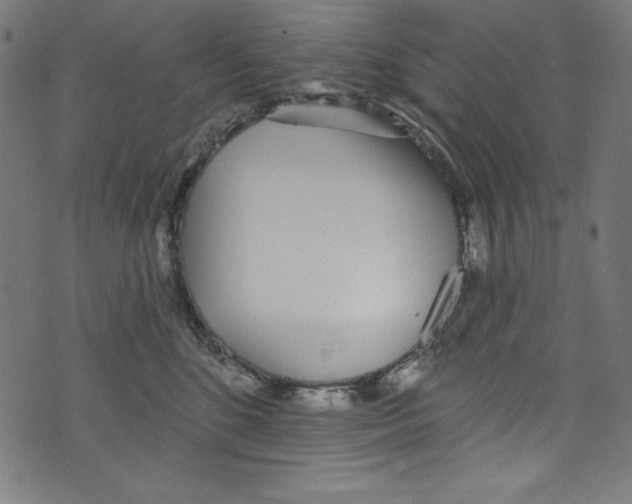 X0000072970520200608211325