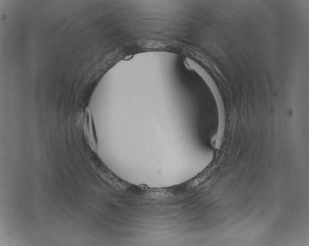 X0000072970521200608211325