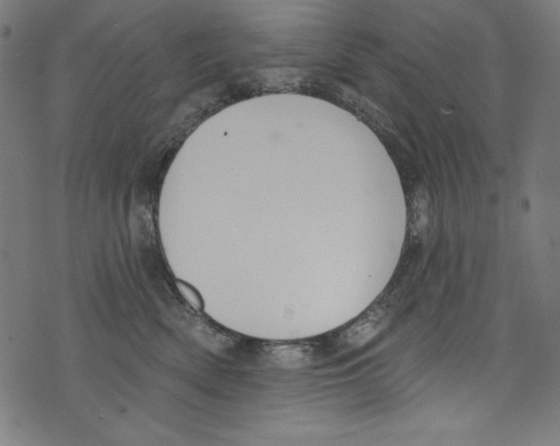 X0000072970522200608211325