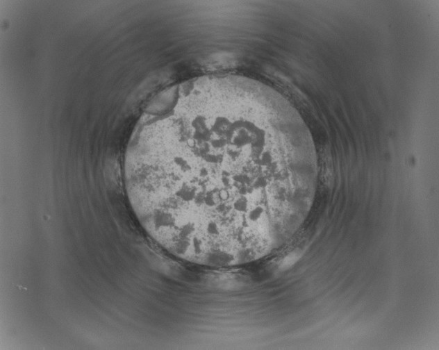 X0000072970523200608211325