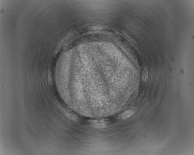 X0000072970524200608211325