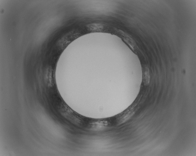 X0000072970525200608211325