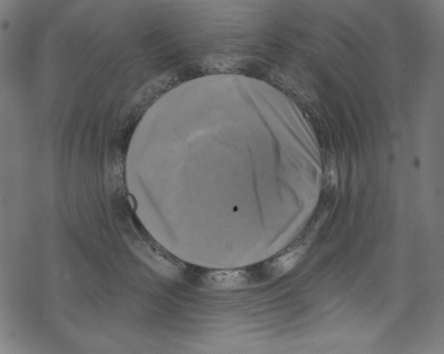 X0000072970526200608211325