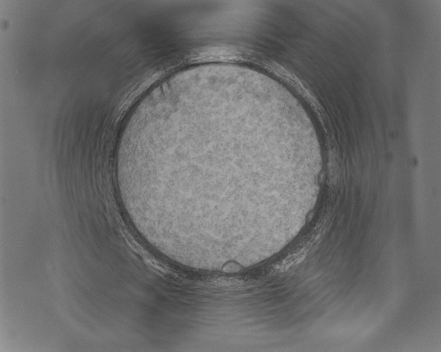 X0000072970529200608211324