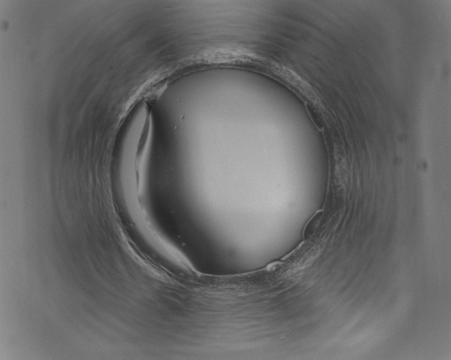 X0000072970530200608211324