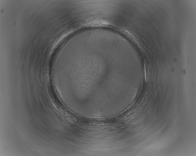 X0000072970531200608211324