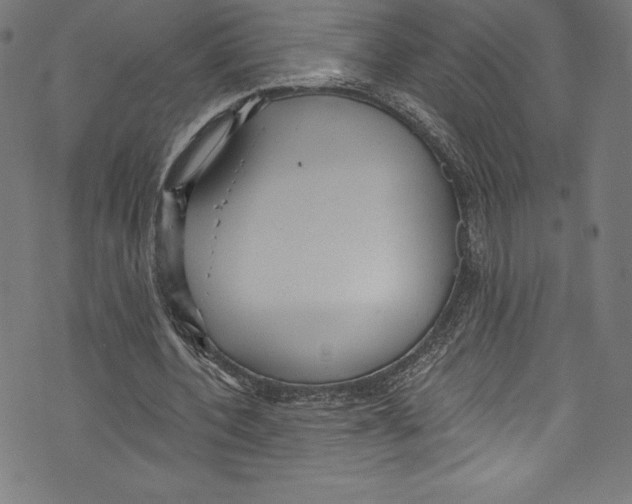 X0000072970532200608211324