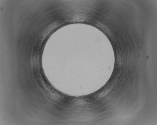 X0000072970534200608211324