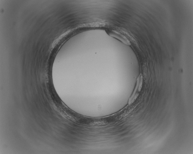 X0000072970536200608211324