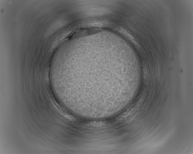 X0000072970537200608211324