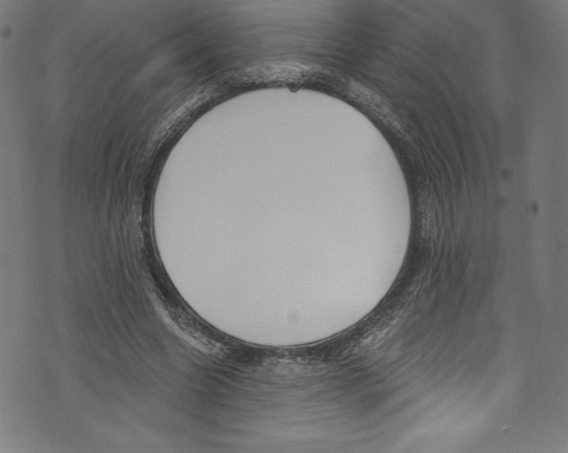 X0000072970538200608211324